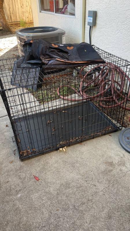 Sale Photo Thumbnail #11