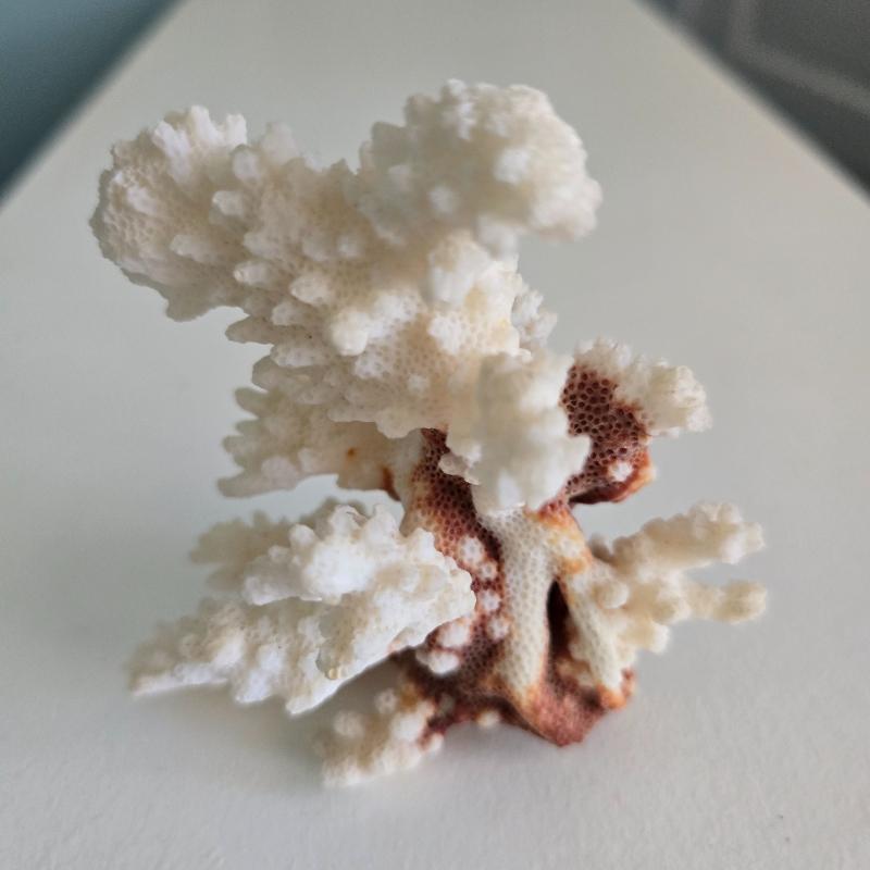 Sale Photo Thumbnail #145