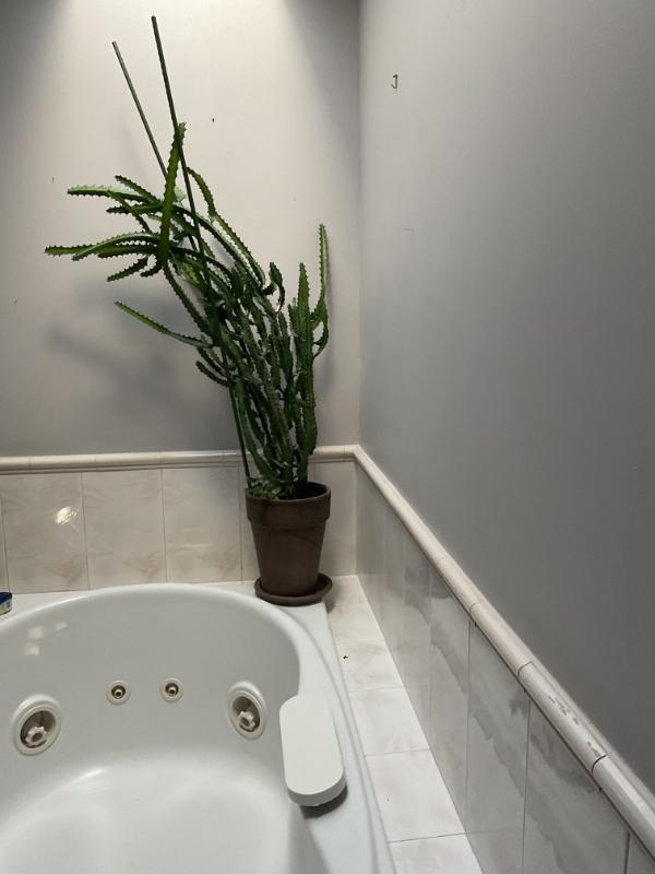 Sale Photo Thumbnail #64