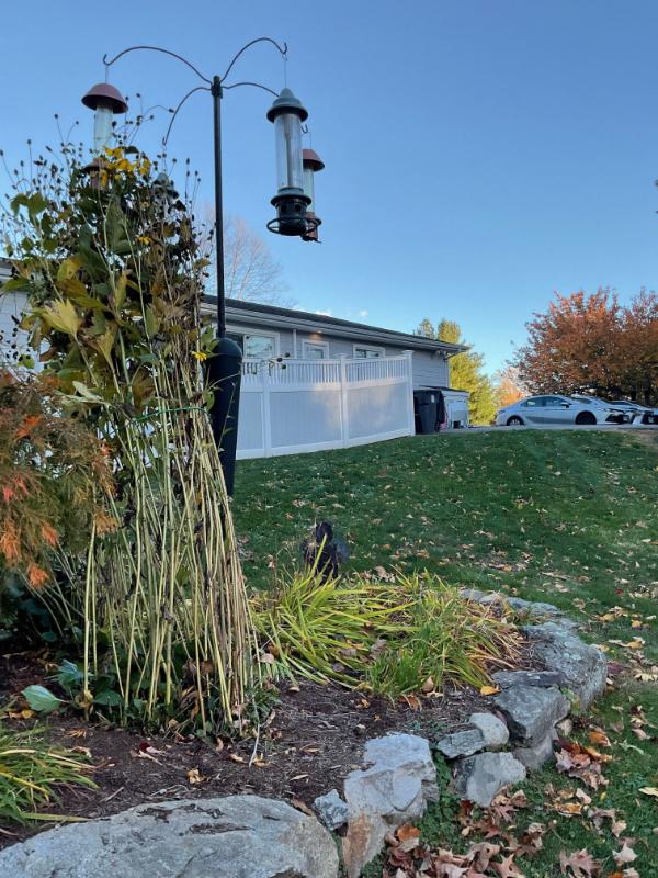 Sale Photo Thumbnail #82