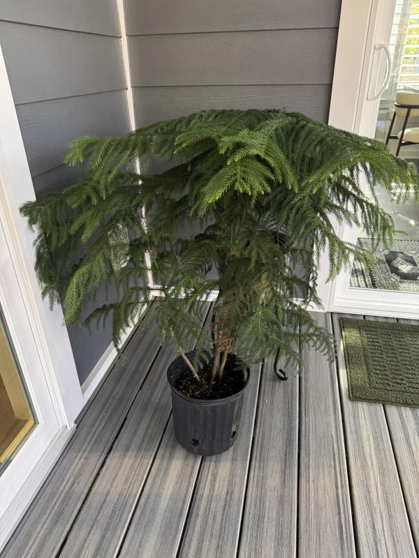 Sale Photo Thumbnail #14