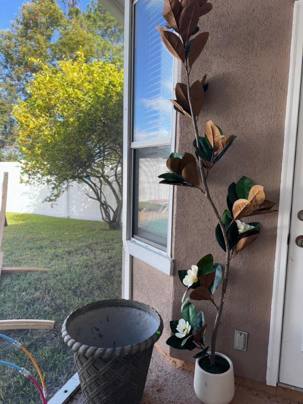 Sale Photo Thumbnail #266