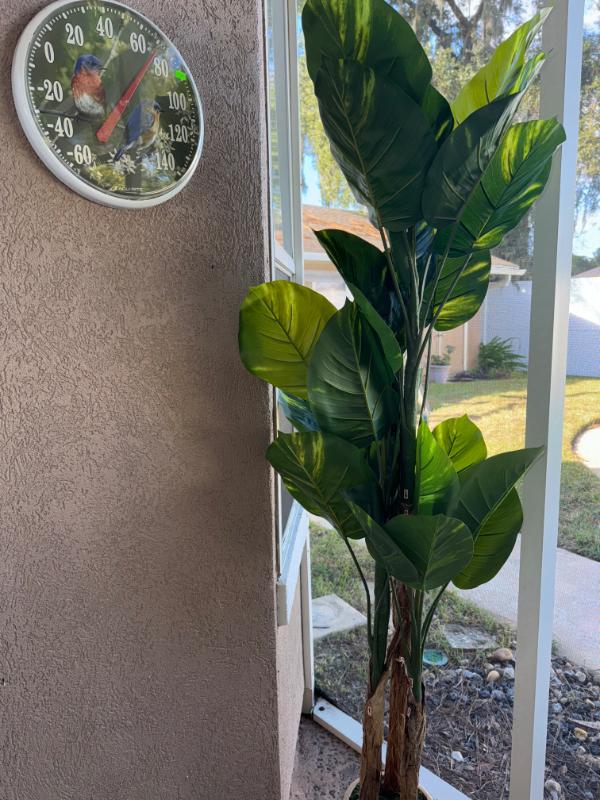 Sale Photo Thumbnail #264