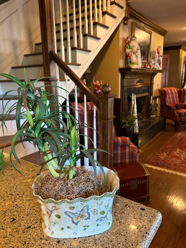 Sale Photo Thumbnail #41