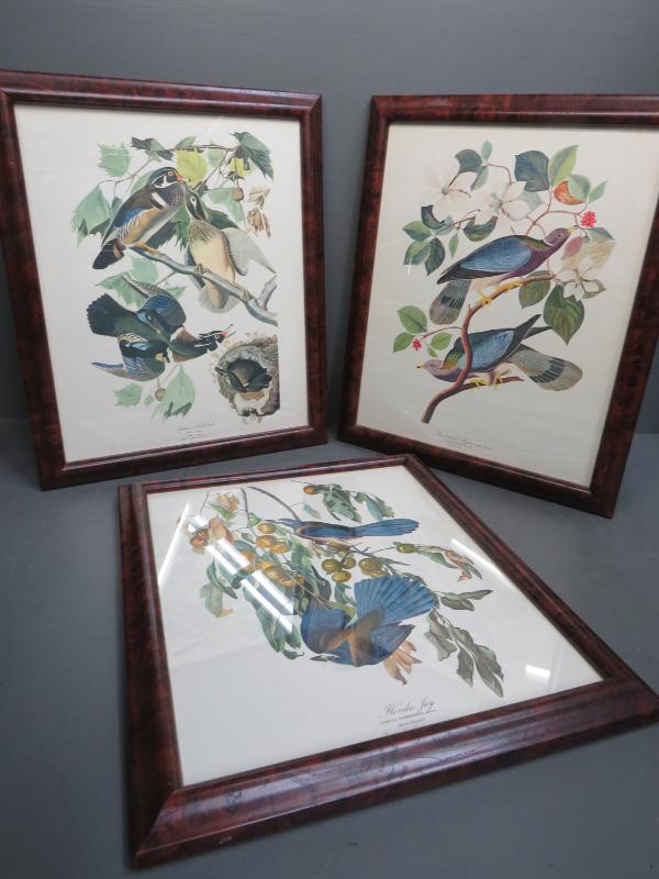 Sale Photo Thumbnail #12