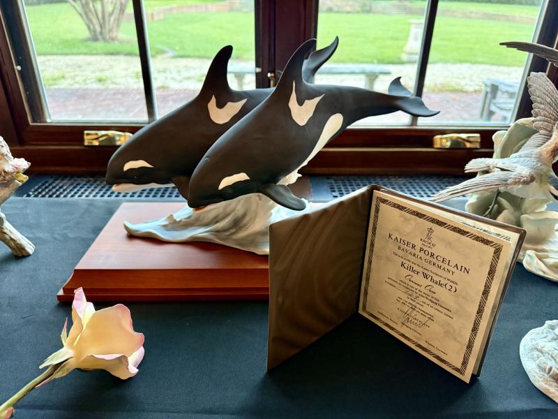 Sale Photo Thumbnail #45