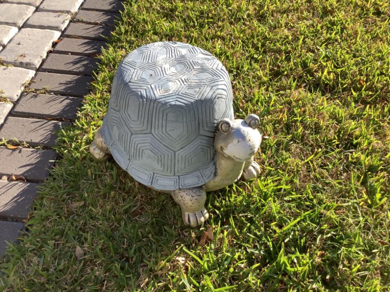 Sale Photo Thumbnail #247