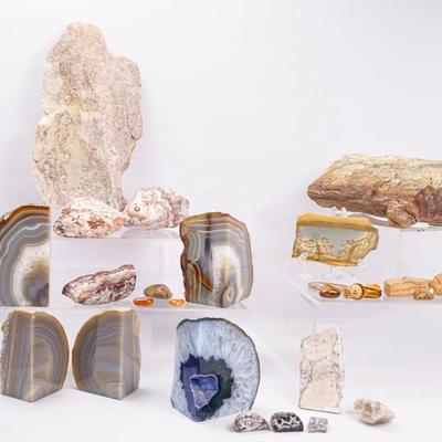 Rocks & Minerals Including Petrified Wood, Bookends