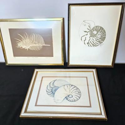 Signed Shell Artwork