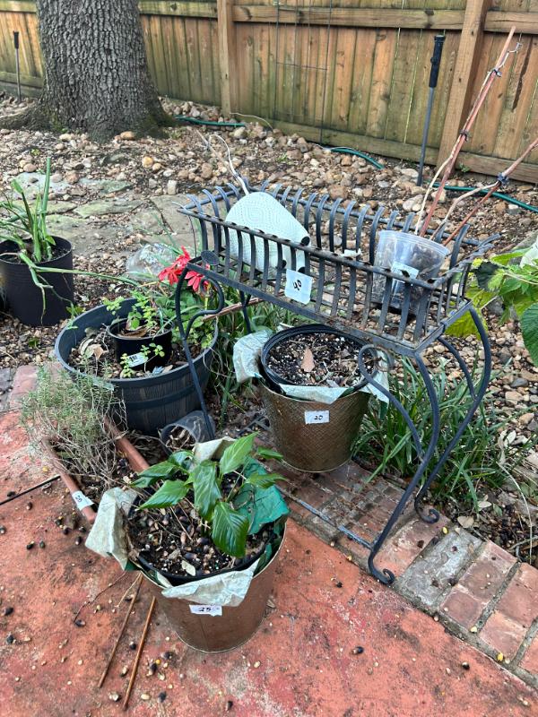 Sale Photo Thumbnail #38