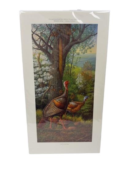 Sale Photo Thumbnail #161