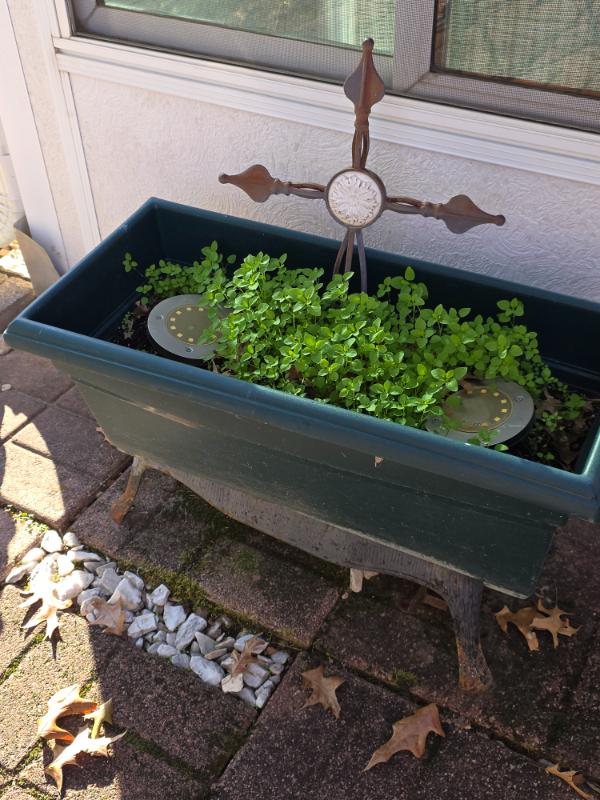 Sale Photo Thumbnail #95