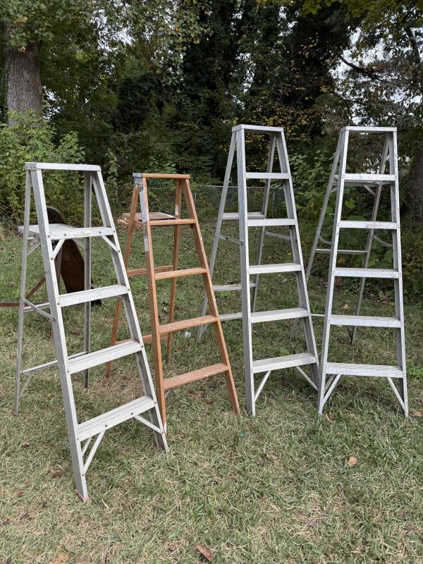 Sale Photo Thumbnail #329