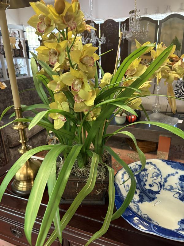 Sale Photo Thumbnail #216