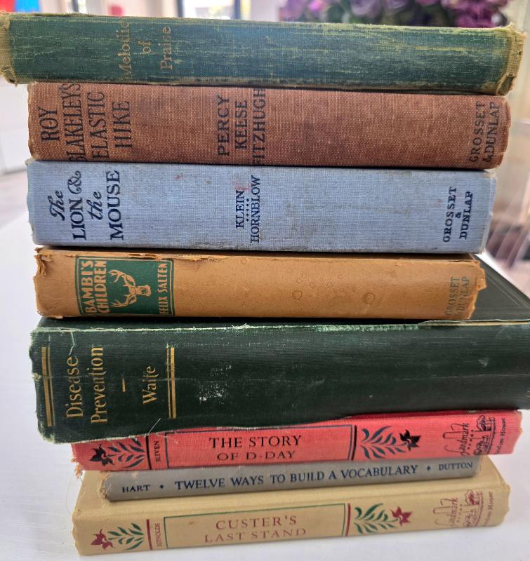 Sale Photo Thumbnail #20