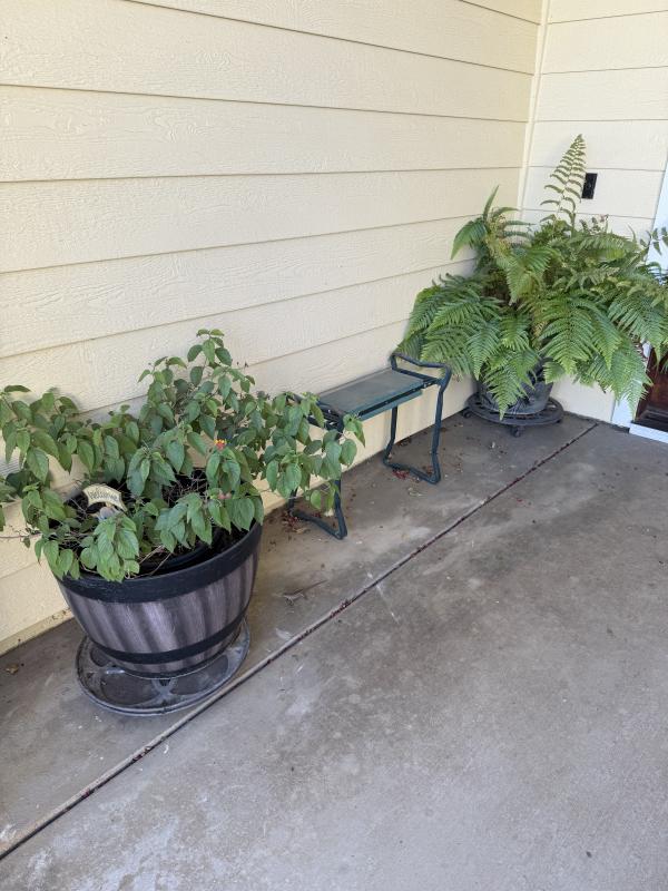 Sale Photo Thumbnail #14