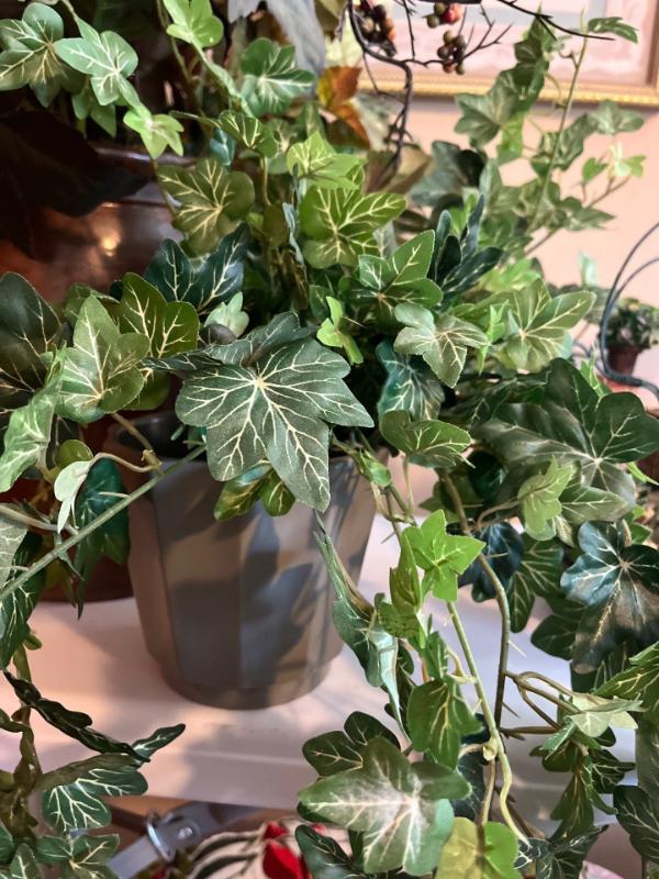 Sale Photo Thumbnail #150