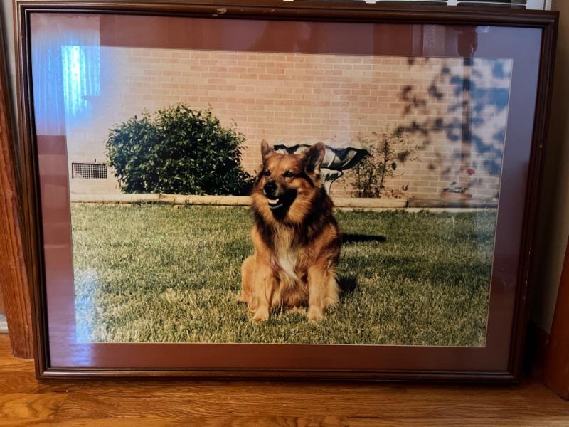 Sale Photo Thumbnail #235