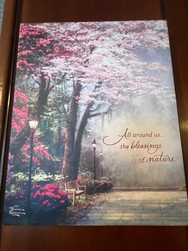 Sale Photo Thumbnail #397