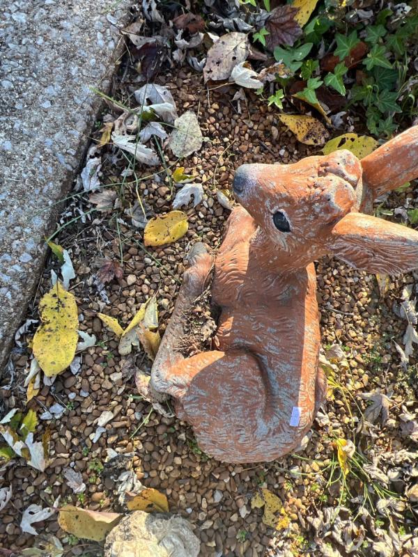 Sale Photo Thumbnail #482