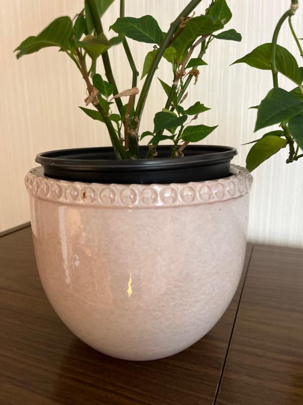 Sale Photo Thumbnail #247