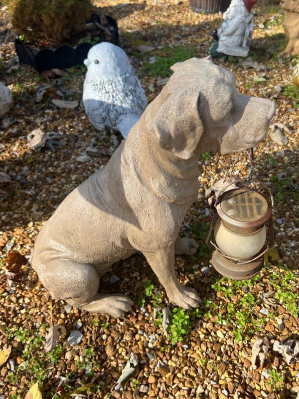 Sale Photo Thumbnail #448