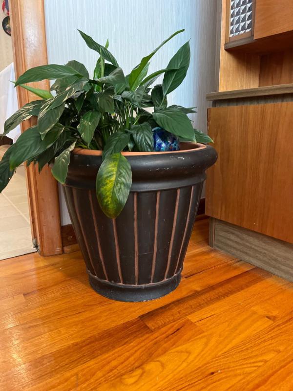 Sale Photo Thumbnail #376