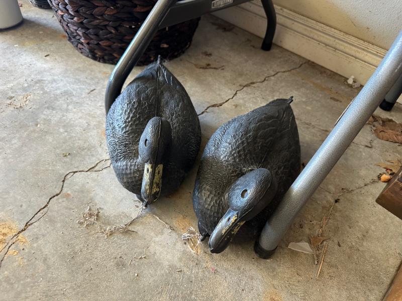 Sale Photo Thumbnail #429