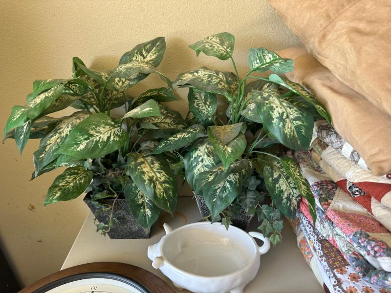 Sale Photo Thumbnail #432