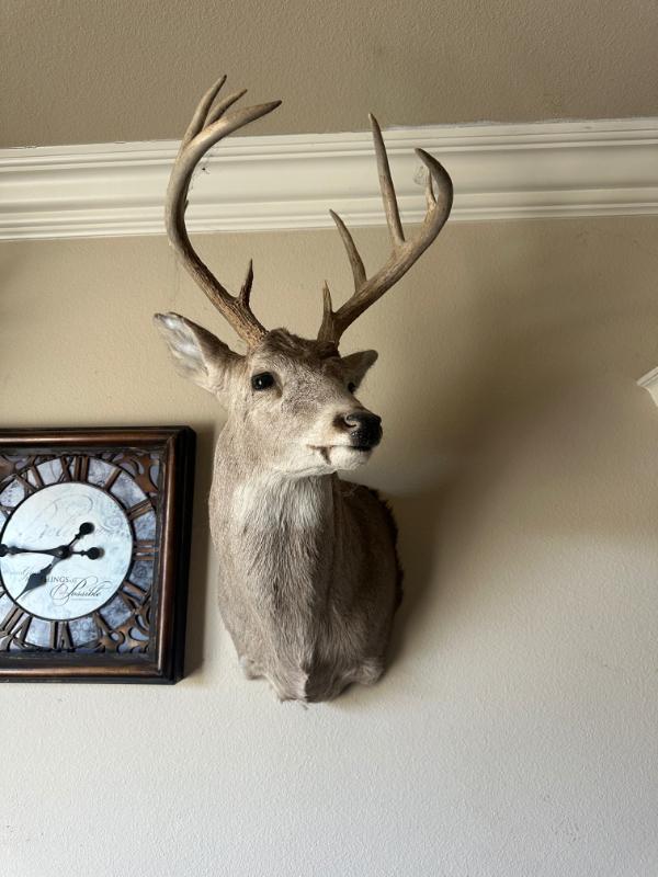 Sale Photo Thumbnail #22