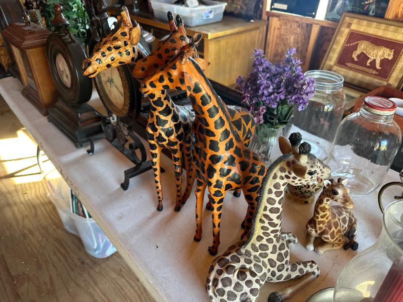 Sale Photo Thumbnail #159