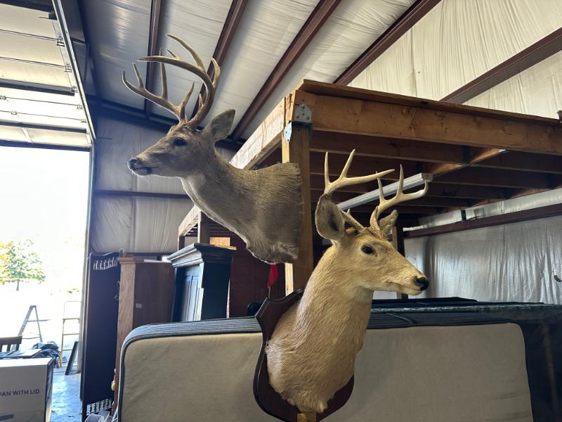 Sale Photo Thumbnail #540