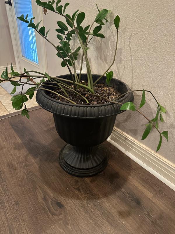 Sale Photo Thumbnail #28