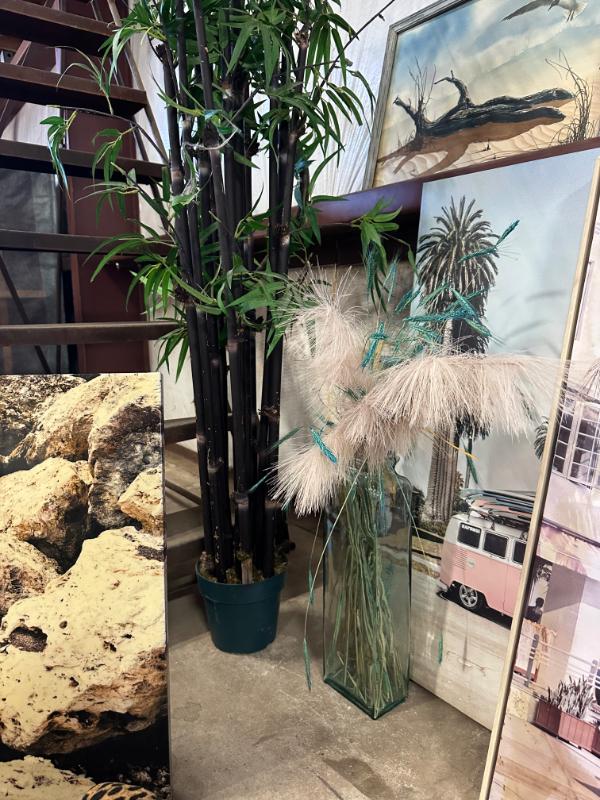 Sale Photo Thumbnail #534