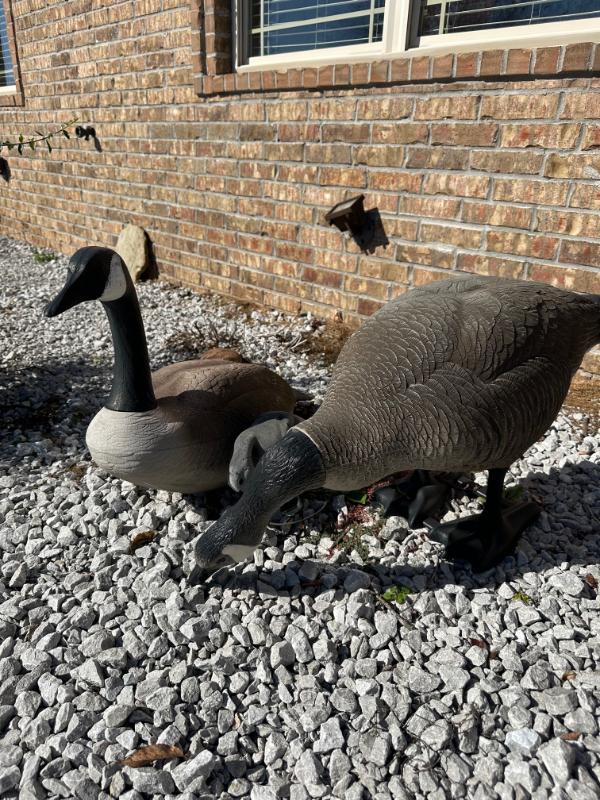 Sale Photo Thumbnail #437