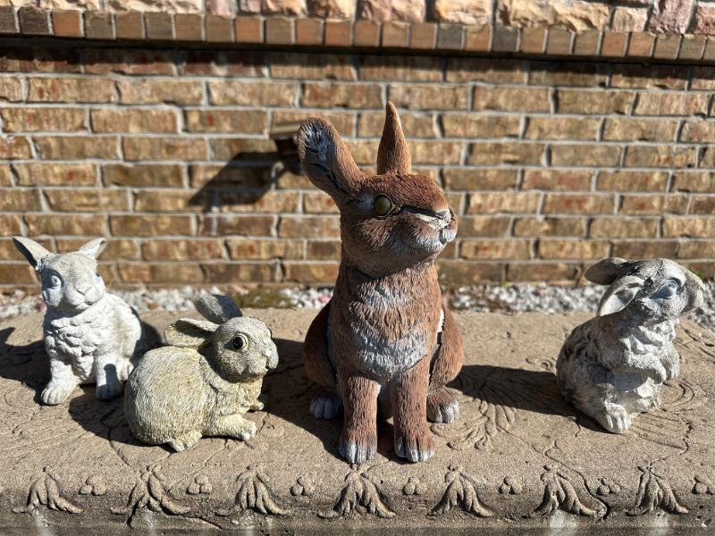 Sale Photo Thumbnail #440