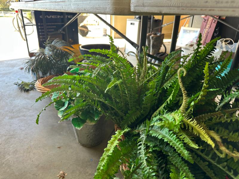 Sale Photo Thumbnail #386