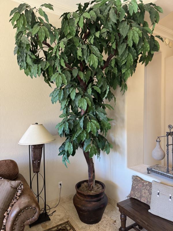 Sale Photo Thumbnail #159