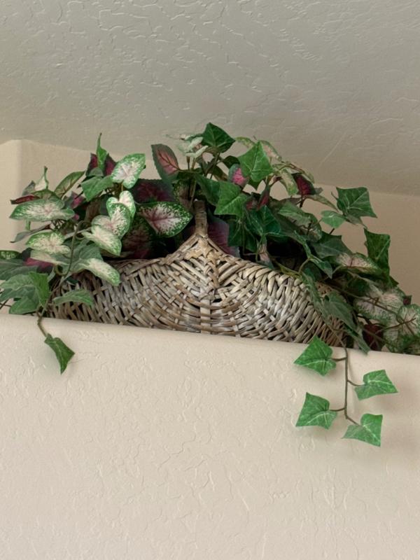 Sale Photo Thumbnail #5