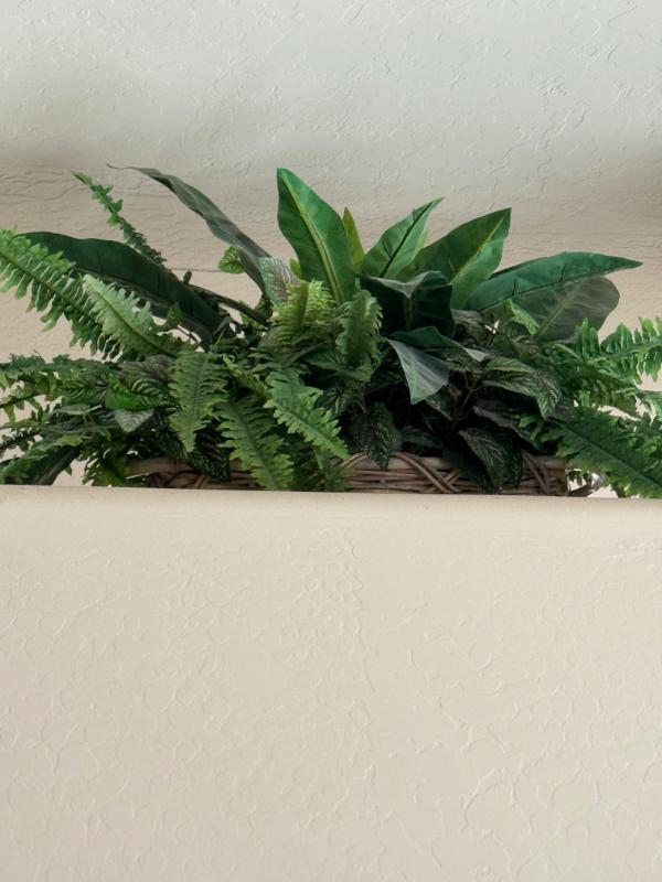 Sale Photo Thumbnail #119