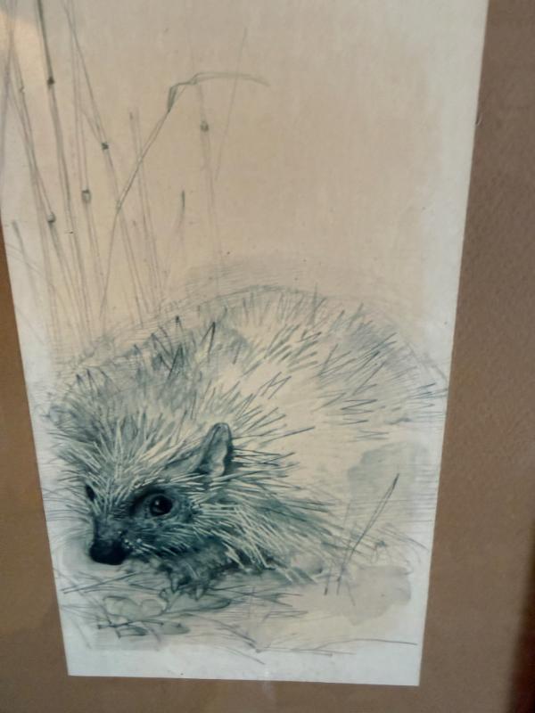 Sale Photo Thumbnail #141