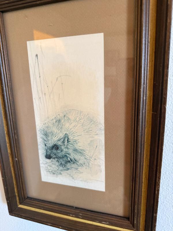 Sale Photo Thumbnail #142