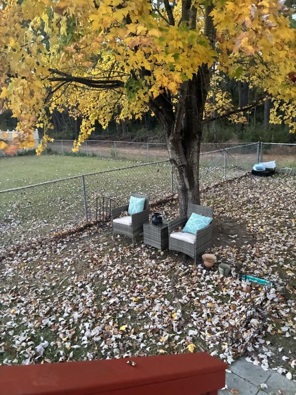 Sale Photo Thumbnail #7: Yard furniture 