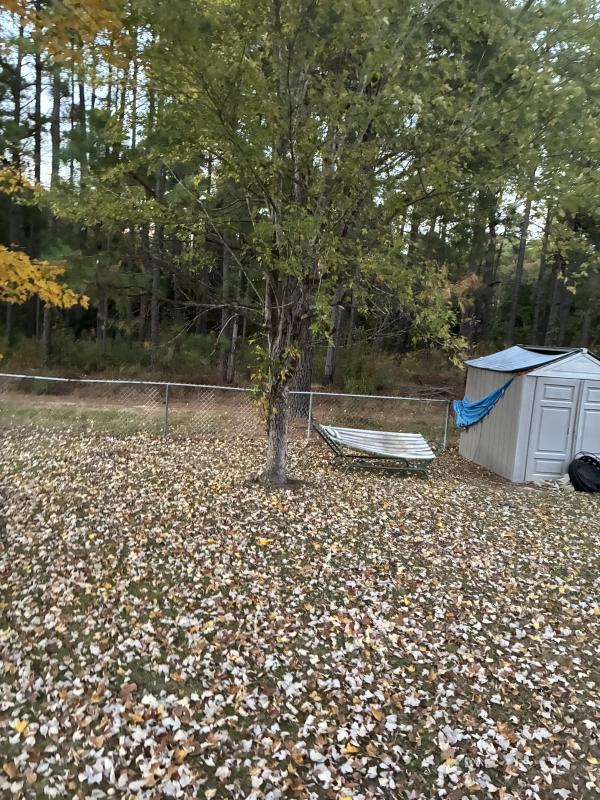 Sale Photo Thumbnail #5: Hammock $25