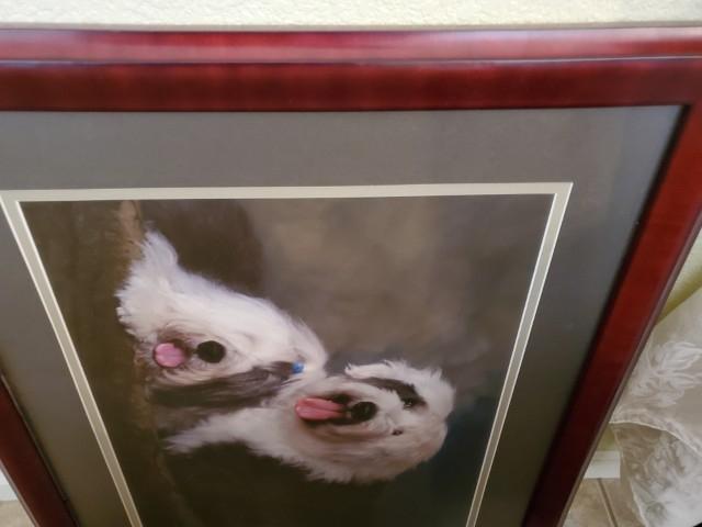 Sale Photo Thumbnail #87