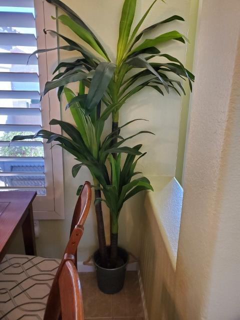 Sale Photo Thumbnail #102