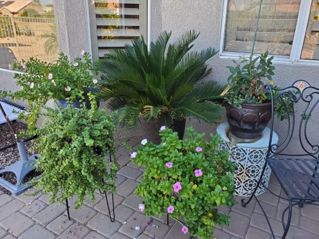 Sale Photo Thumbnail #12