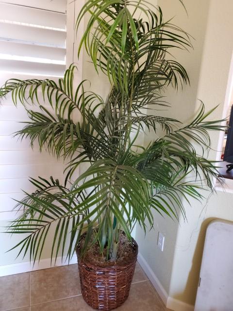 Sale Photo Thumbnail #112