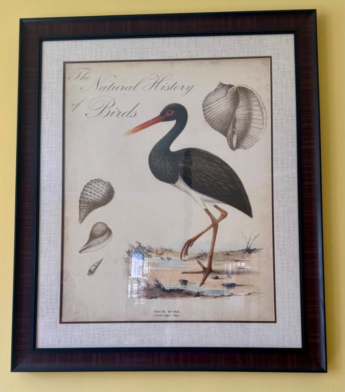 Sale Photo Thumbnail #104