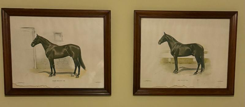 Sale Photo Thumbnail #26